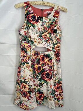 Grayson Floral Dress with Cut Out in front and back Medium Summer material girl